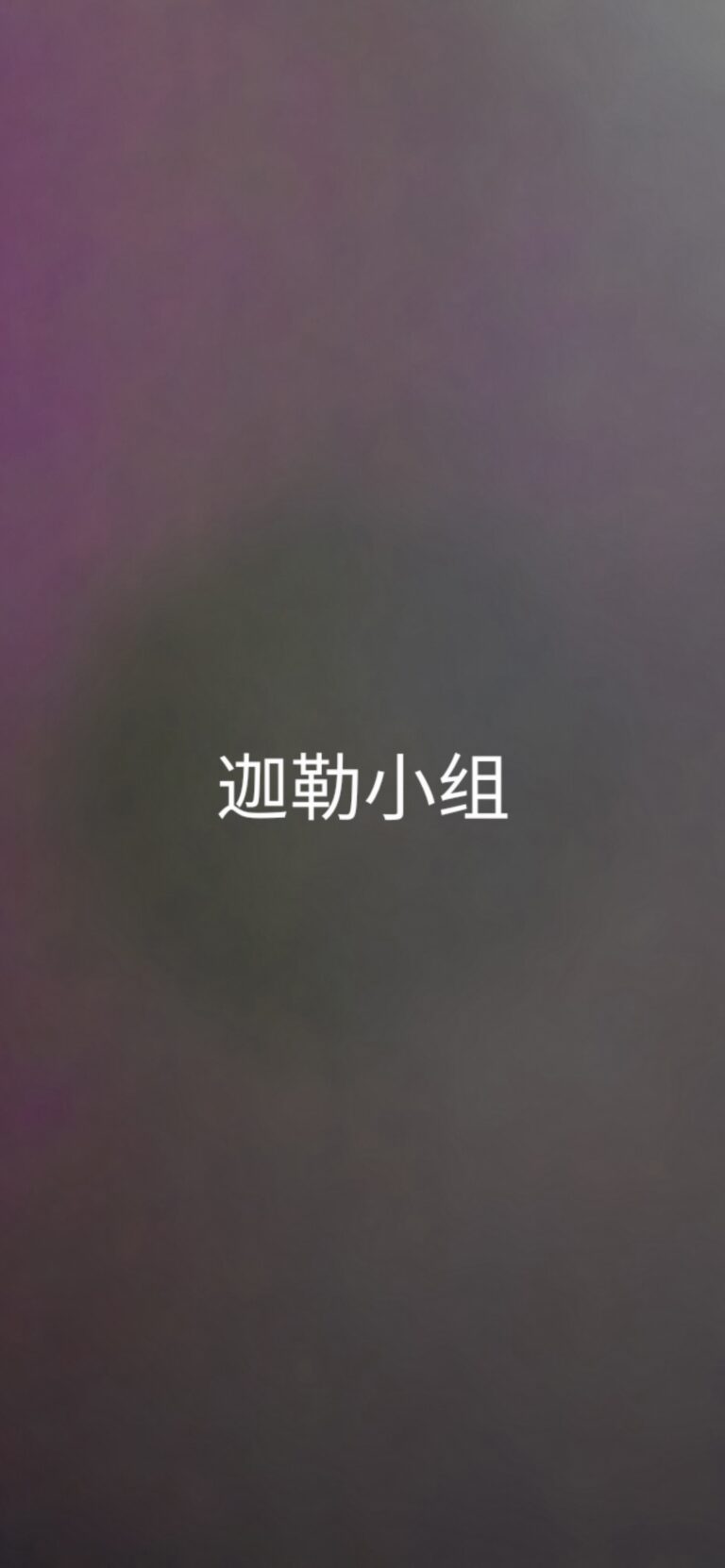 迦勒小组
